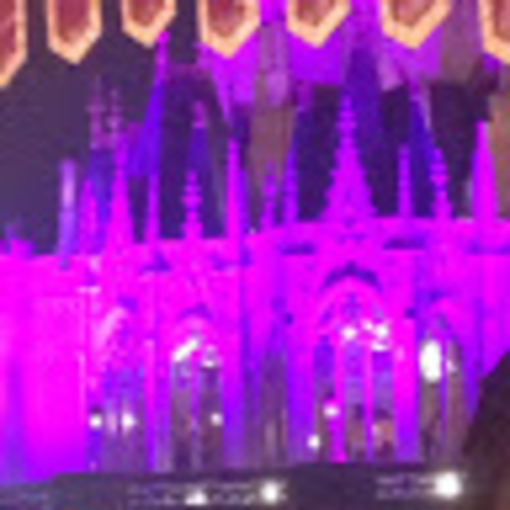 Meet your Posher, Jessie